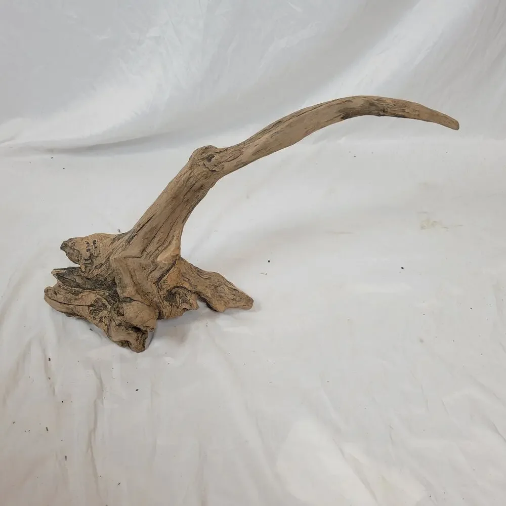 Ohio River Driftwood 29